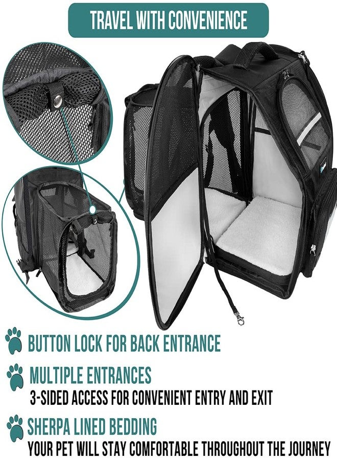 PetAmi Dog Cat Backpack Carrier, Expandable Pet Carrier Backpack for Travel Hiking, Small Medium Dog Puppy Large Cat Carrying Backpack, Airline Approved Ventilated Soft Back Support, 18 lbs, Black - Image 4
